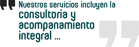 contratación estatal